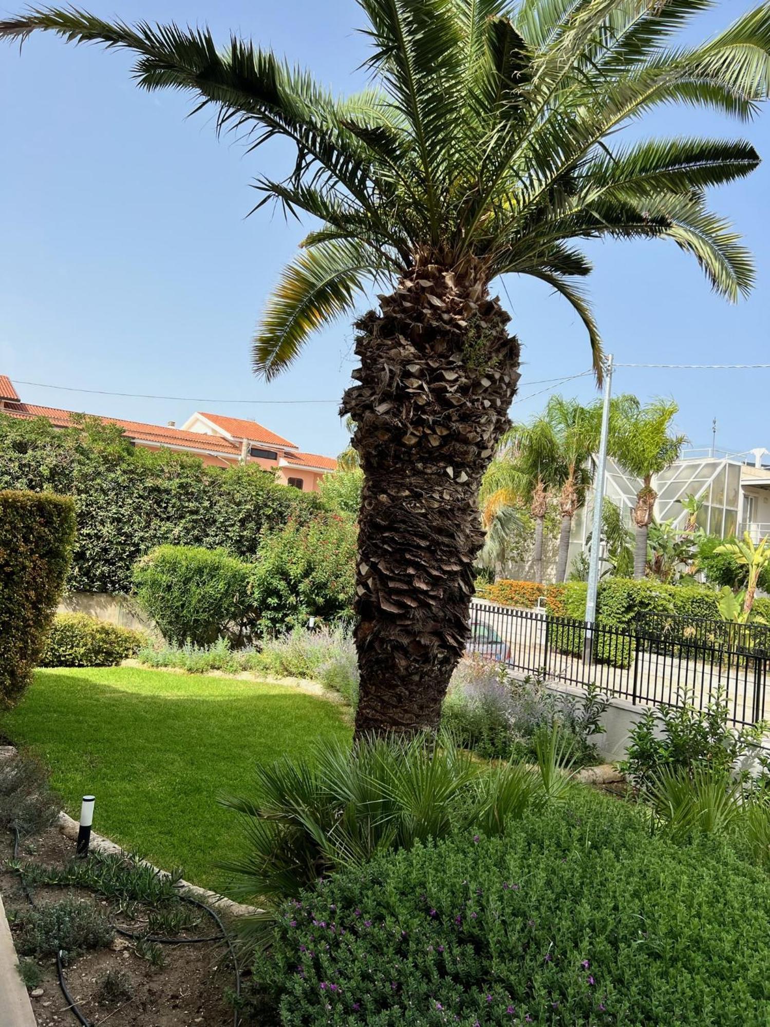 Apartamento Rocamar Avola Exterior foto